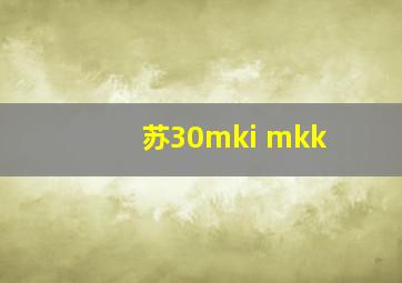 苏30mki mkk